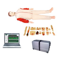 cpr850 心肺复苏与创伤训练模拟人 上海宸博